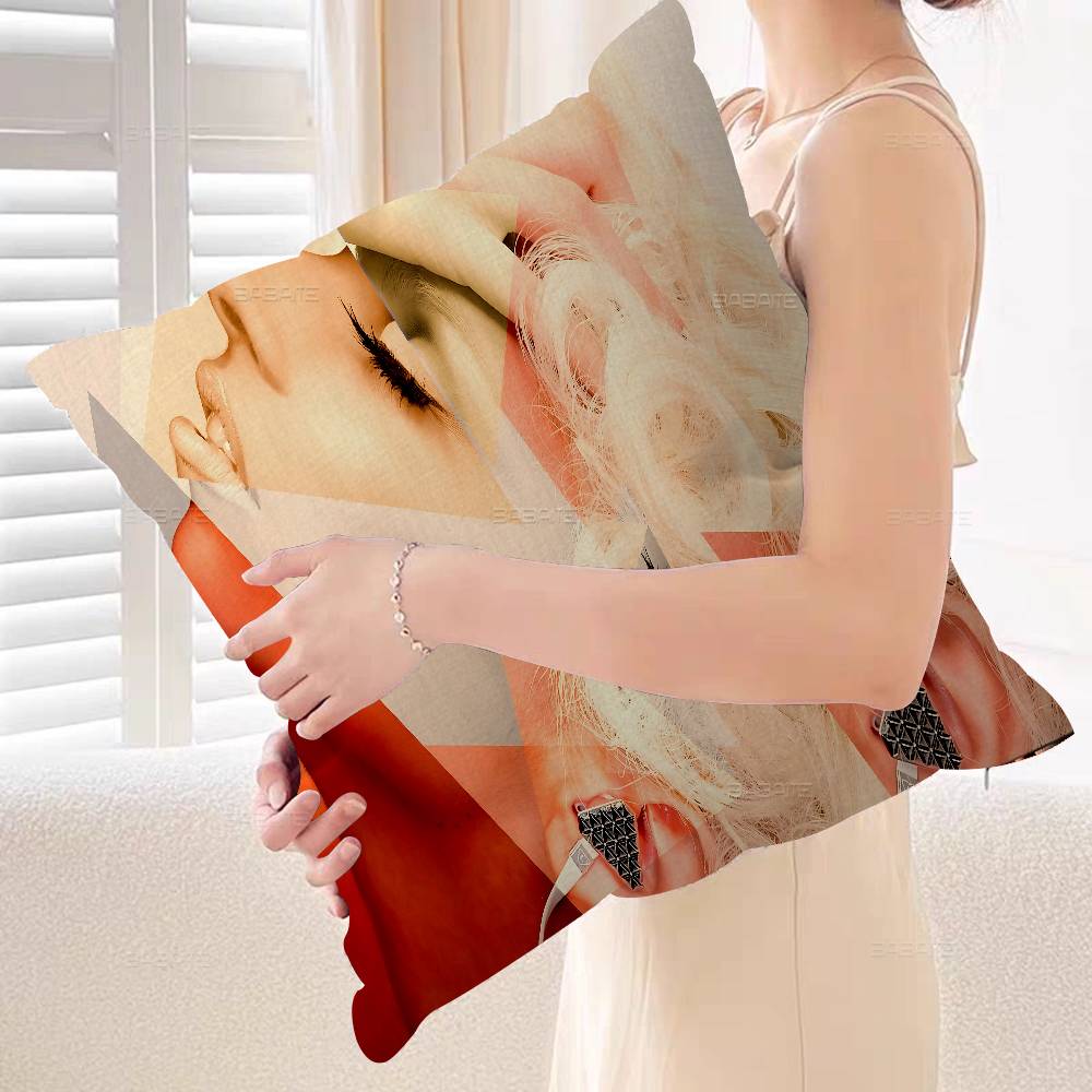 Housse de coussin Singer L-Lad - Home Textiles Là Gì avis et prix